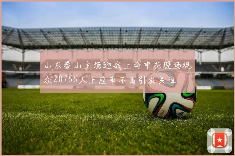 山东泰山主场迎战上海申花现场观众20766人上座率不高引发关注