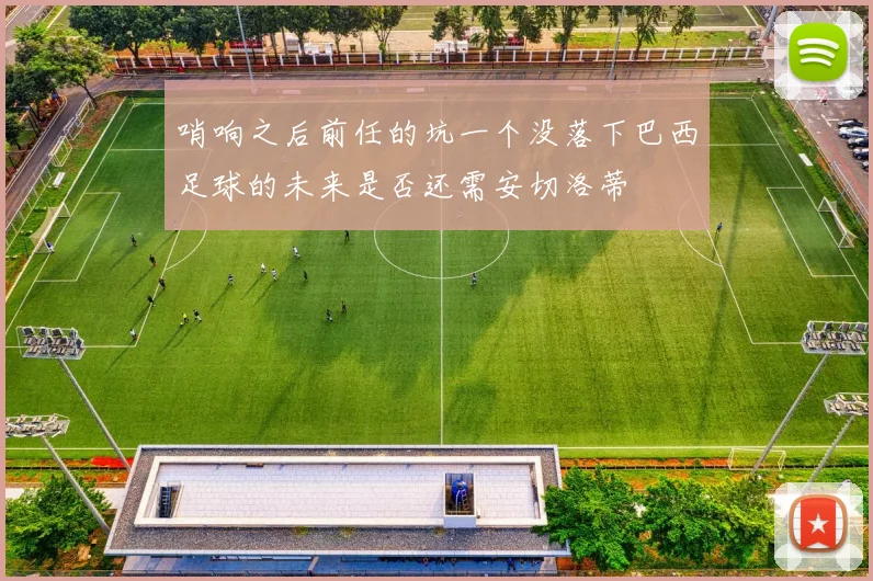 哨响之后前任的坑一个没落下巴西足球的未来是否还需安切洛蒂